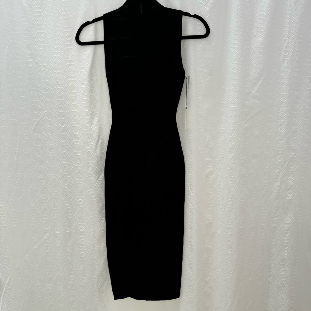 Aritzia Babaton Deville Bodycon Bandage Dress
